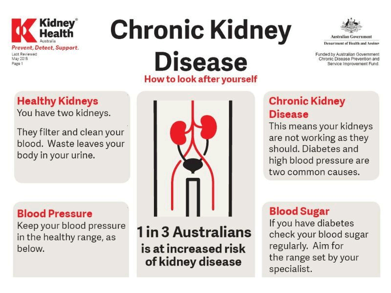 만성 신장 질환: 호주 현황