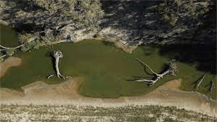 Murray-Darling Basin 계획은 논란의 여지가 있는 물 환매로 부활했지만 빅토리아는 포함되지 않습니다.