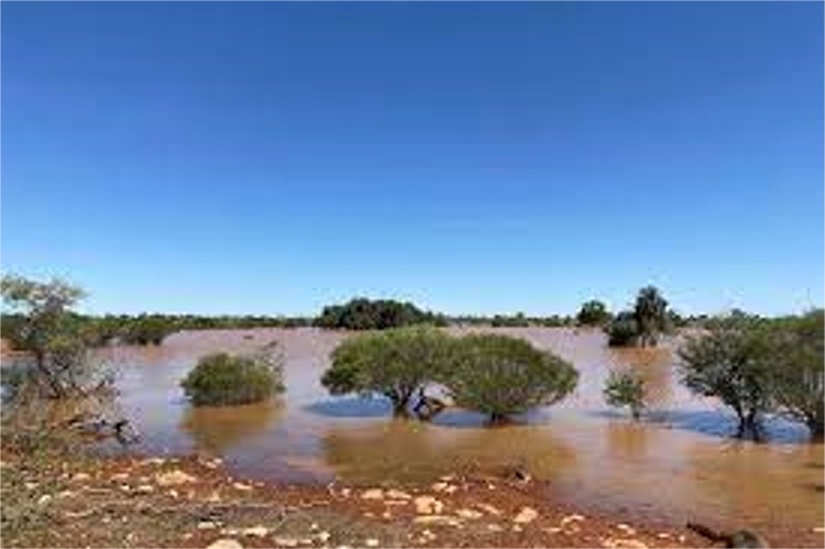 WA의 Nullarbor 및 Northern Goldfields는 마지막 열대성 저기압이 통과함에 따라 수년 만에 최고의 비가 내립니다.