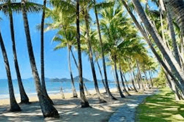 팜 코브(Palm Cove)는 호주가 Conde Nast 목록을 장악하면서 세계 최고의 해변으로 선정되었습니다.