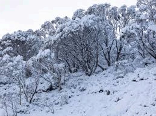 강한 바람, 우박, 비, 눈이 올 것으로 예상되는 호주 남동쪽을 가로 지르는 오래된 전선