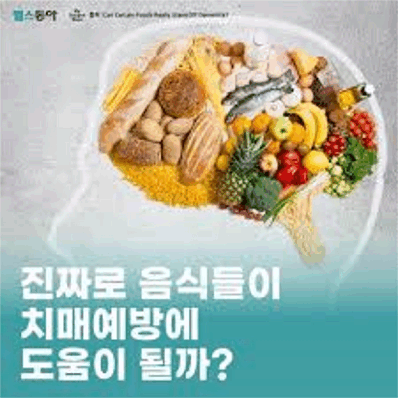 진짜로 음식들이 치매예방에 도움이 될까?