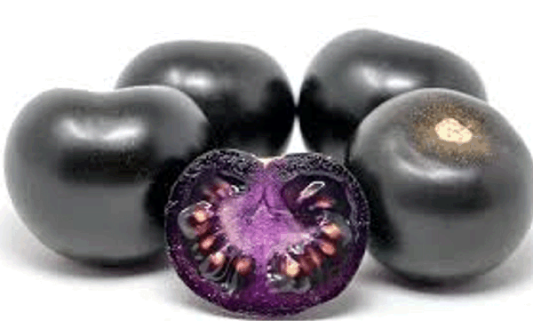 식품 기준 규제 기관, 유전자 변형 정의 업데이트 제안