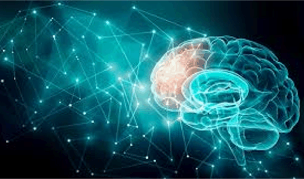 뇌과학이란 무엇인가?