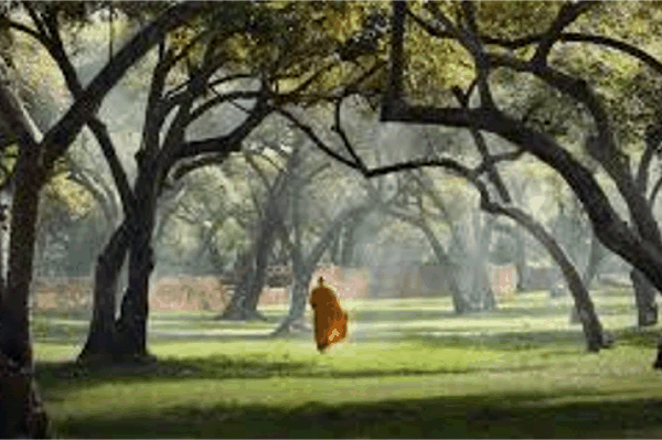 불교의 기원: 간략한 역사