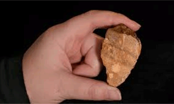 고대 석기 도구는 100만 년 전 이상 초기 인류가 술라웨시에 거주했음을 시사합니다.