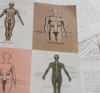 신과 당신의 뇌