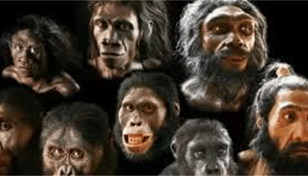 원숭이가 인간이라는 종교적 믿음은 없습니다