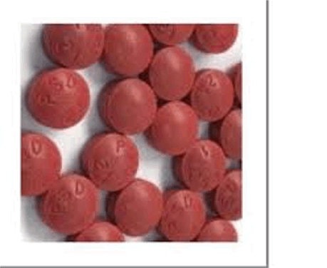 세나(세노콧, 엑스락스 등) – 사용법, 부작용 등(sennoside)