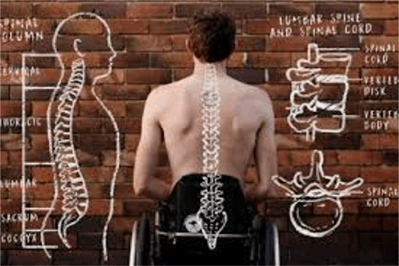 호주, 척수 손상 복구 위한 인체 실험 시작