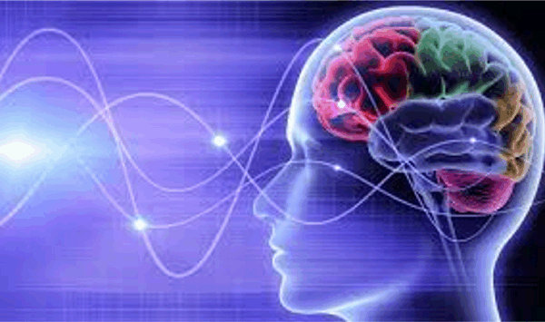 뇌 신호는 정해진 시간에 도착해야만 의미가 있다는 연구 결과가 나왔습니다.
