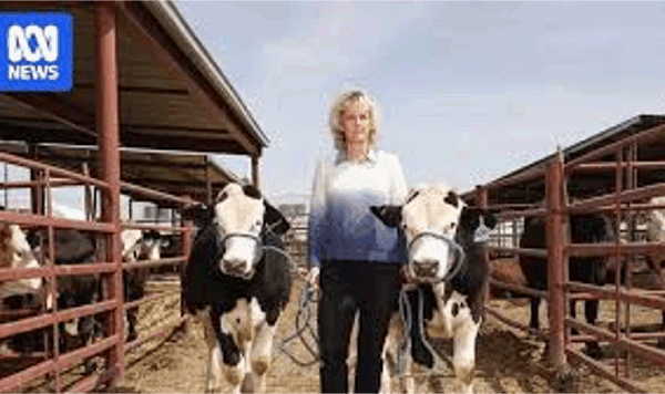 유전자 편집이 빠르게 자라는 생선에서 내열성이 강한 소에 이르기까지 우리 식단의 고기를 어떻게 변화시키고 있는가