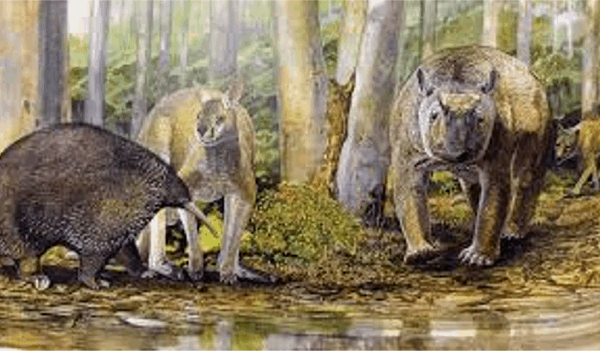 뼈 화석은 호주의 고대 거대 동물이 인간에 의해 멸종되었다는 증거가 아니다: 연구