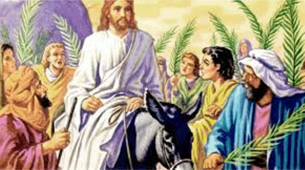 동물들은 예수님의 행동과 함께 여러 가지 상징적, 문자적 역할을 했습니다