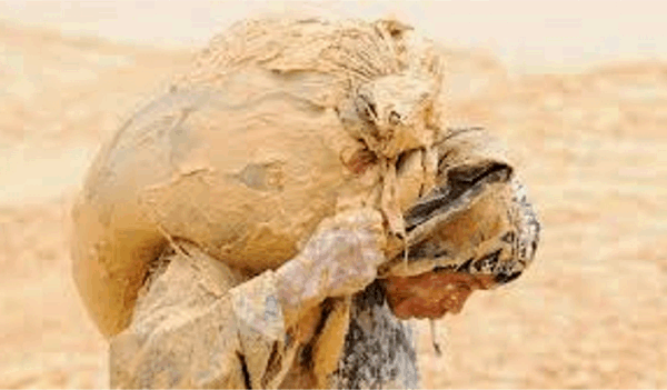 희토류 공급량 매핑 및 이러한 광물을 자석으로 전환하는 과제