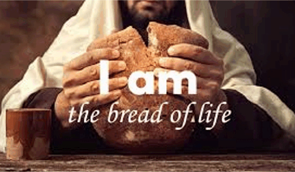 나를 위로 하리라